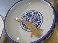 -味之绝美蛙鱼头火锅(松江万达店)