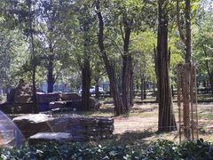 -秦皇岛野生动物园