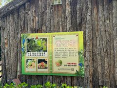 -呀路古热带植物园