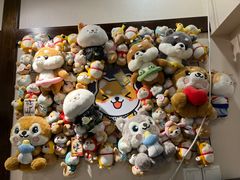 -逗柴咖啡屋·狗咖猫咖宠物桌游