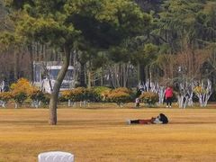 -青岛第一海水浴场
