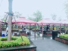 -春花秋色城市公园