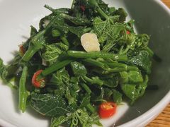 木姜子拌丝瓜尖-一坐一忘云南菜(三里屯店)