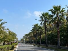 -红树林天天赶海