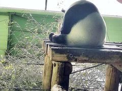 -石家庄市动物园