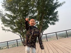 -汉长安城未央宫国家考古遗址公园