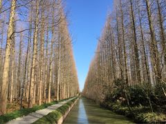 iphone_upload_pic-上海怡沁园度假酒店