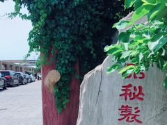-食家鸽园