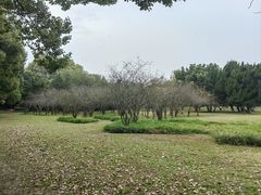 -采石矶景区