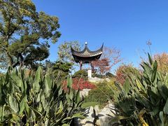 -上海滨江森林公园