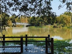 -九里河湿地公园