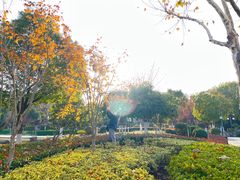 -金银湖国家城市湿地公园