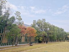 -黄陂区野村谷景区