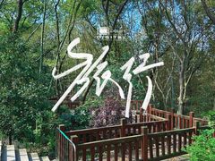 -上海佘山国家森林公园天马山园