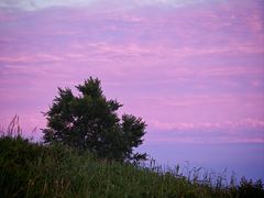 -妙峰山风景名胜区