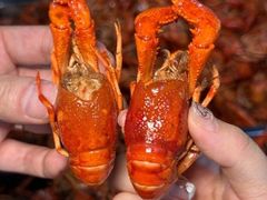 -阆辣荟餐饮(老味道8年·古城店)