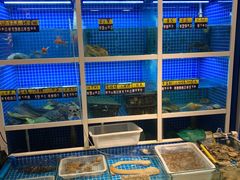 水产区-金龙·打边炉(南京西路店)