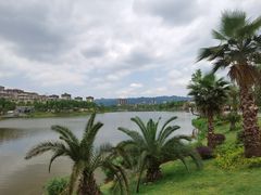 -枫香湖儿童公园