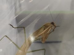 -上海昆虫博物馆