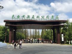 -黄海国家森林公园