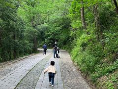 -紫金山山顶公园
