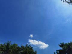 -中国湿地博物馆