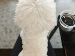 -CoffeeVendor(西乡店)
