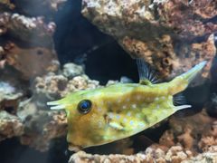 -海合安武汉极地海洋公园