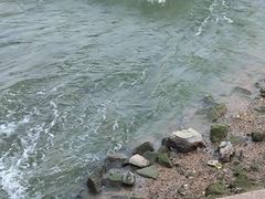 -深圳湾公园(南山区)