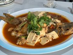 -煲来饱去冷水鱼