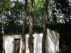 -午潮山国家森林公园