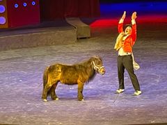 -珠海横琴长隆《卡卡虎奇遇记》