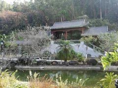 -广州神农草堂中医药博物馆