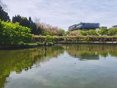 -嘉定紫藤园