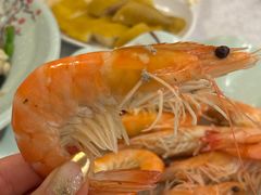 -沙田新强记烧鹅海鲜酒家