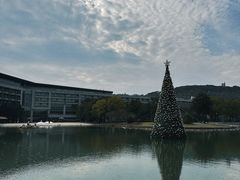 -上海佘山世茂艾美酒店
