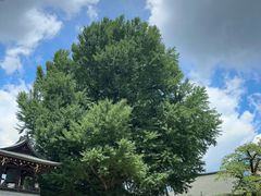 -医王山·飞騨国分寺