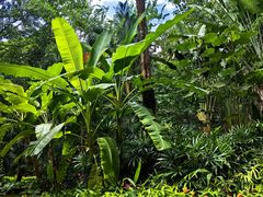 -西双版纳融创皇冠假日度假酒店