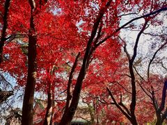 -湛山寺
