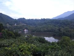 -深圳仙湖植物园