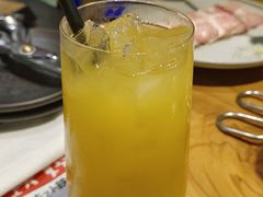 -MEDISN·药厂