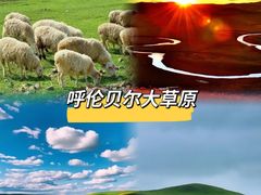 -呼伦贝尔大草原