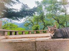 -崂山九水游览区