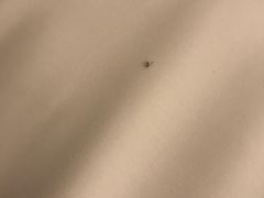 -哈尔滨香格里拉大酒店