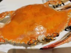 -宝燕壹号景观餐厅(龙盛国际商业广场店)