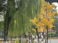 -四川大学(望江校区)
