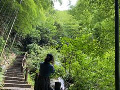 -藏龙百瀑风景区