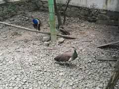 -藏龙百瀑风景区