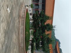 -南宁良凤江国家森林公园