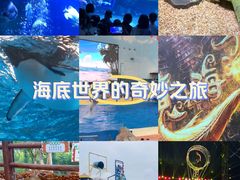 -海合安天津极地海洋公园